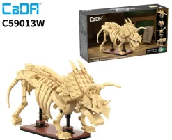 CaDA Dinosaur Fossils - Triceratops