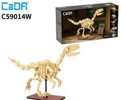 CaDA Dinosaur Fossils - Velociraptor