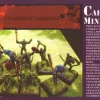 Caesar Miniatures 1/72 Fantasy Lizardmen Warriors