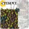 Citadel Colour Barbed Bracken