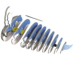 Eugy 66 Blue Whale Card 3D Puzzle