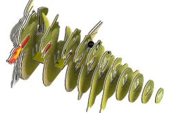 Eugy 24 Dragon Card 3D Puzzle