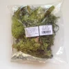 Javis Lichen Green Bulk Pack