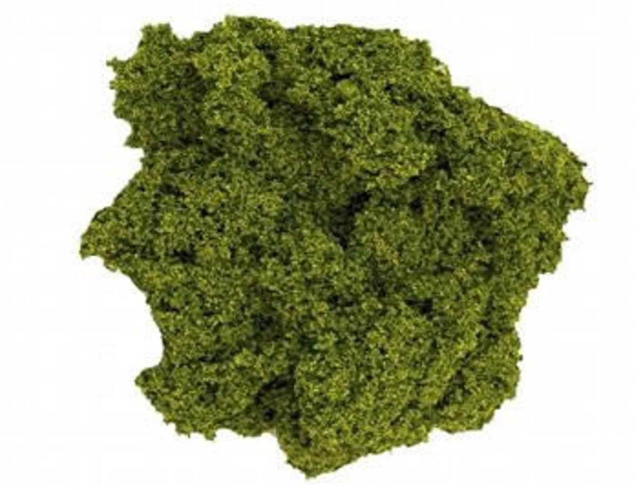 Javis No.1 Hedge Foliage Light Green