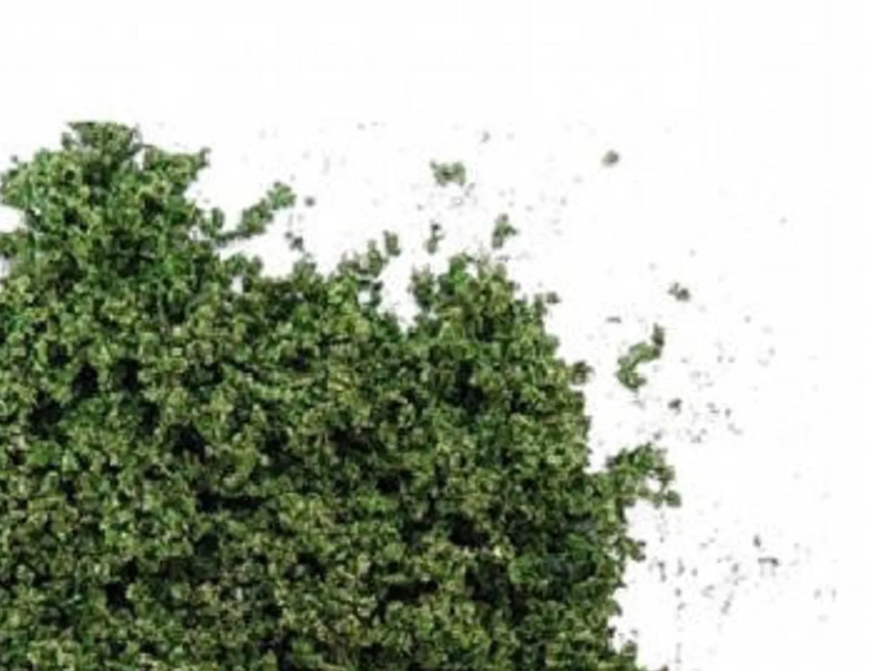 Javis Scatter No.3 Dark Green Coarse Grass