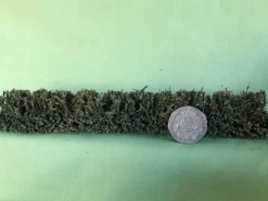 K+M Model Large Hedge 170MM