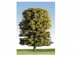K+M Model Trees 175 Single Deciduous Green Model Tree