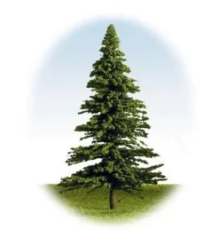 K+M Model Trees 125mm Single Fir Model Tree