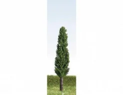 K+M Model Trees 50mm Single Poplar Model Tree