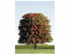 K+M Model Trees 90mm Single Deciduous Mixed Colour Model Tree