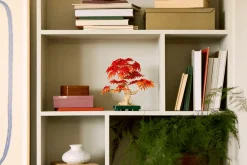 Lego Botanicals Japanese Red Maple Bonsai Tree