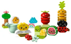 Lego Duplo Organic Garden