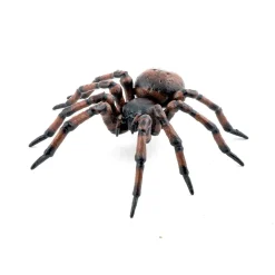 Papo Toys Common Spider
