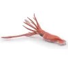Papo Toys Giant Squid