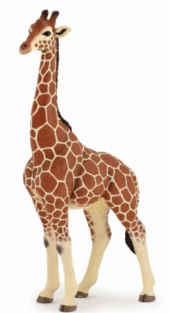 Papo Toys Giraffe Male