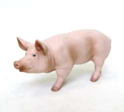 Papo Toys Male Pig