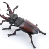 Papo Toys Stag Beetle