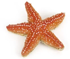 Papo Toys Starfish