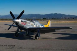 Revell 1/32 North American P-51D Mustang