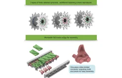 Rye Field Models 1/35 Sherman VC Firefly
