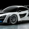 Tamiya RC McLaren Senna TT-02 Model Kit